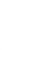 logo sinchi 2